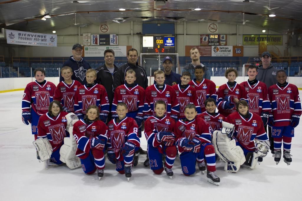 2014 Team Profiles Brick Invitational Hockey